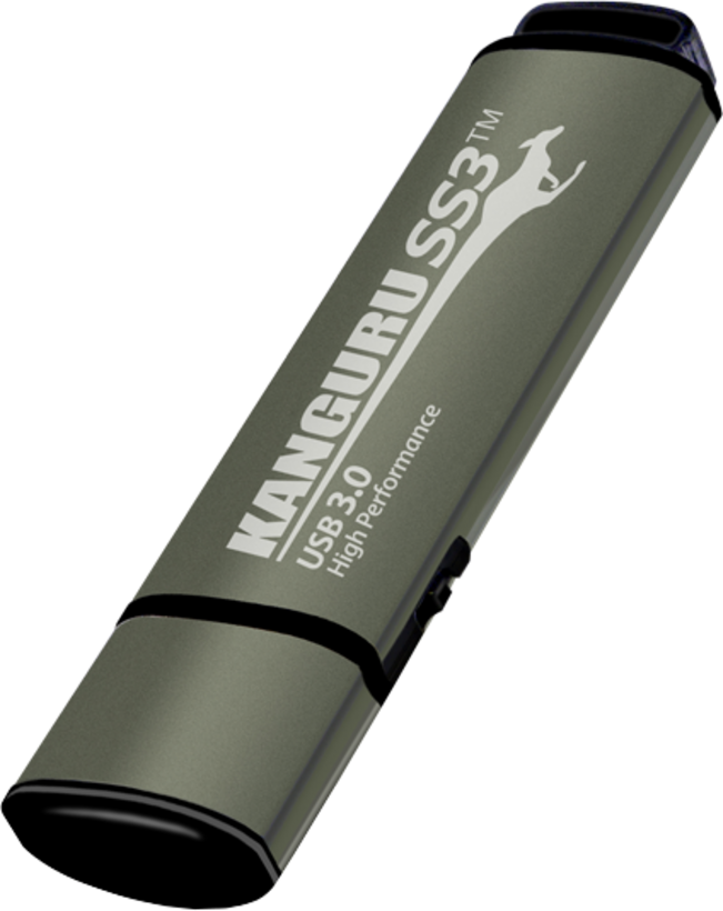 Kanguru SS3 USB Stick 512GB