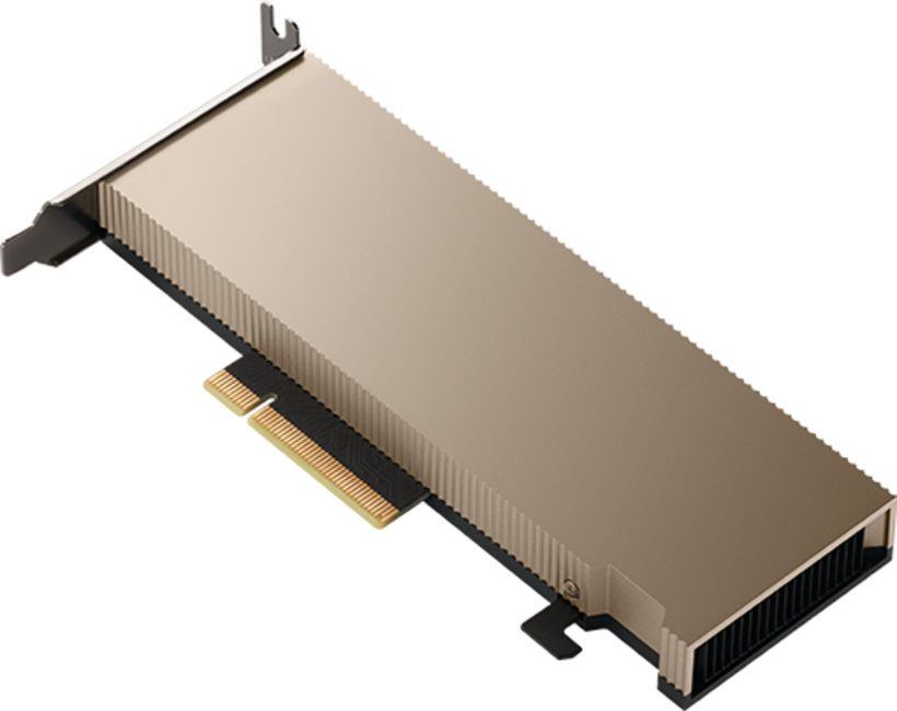 PNY NVIDIA A2 Graphics Card