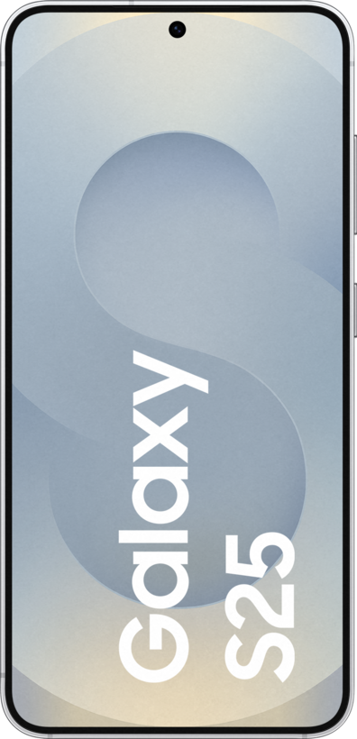 Samsung Galaxy S25 Enterprise Edition