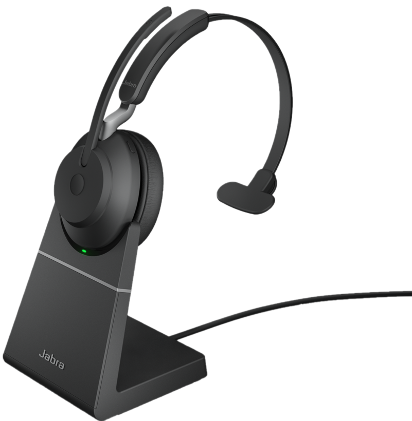 Jabra evolve 2024 65 weight