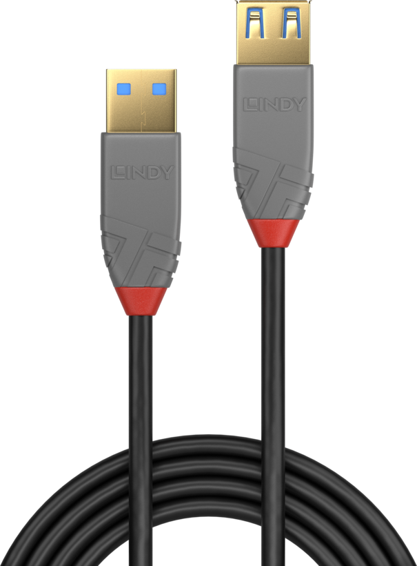 Rallonge USB-A LINDY 1 m