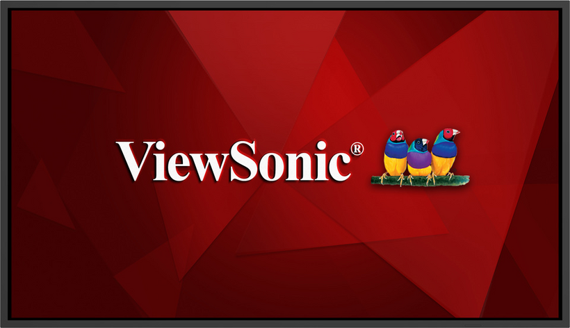ViewSonic CDE55G3-1C Display