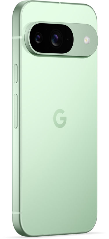 Google Pixel 9 256 GB zimní zelená