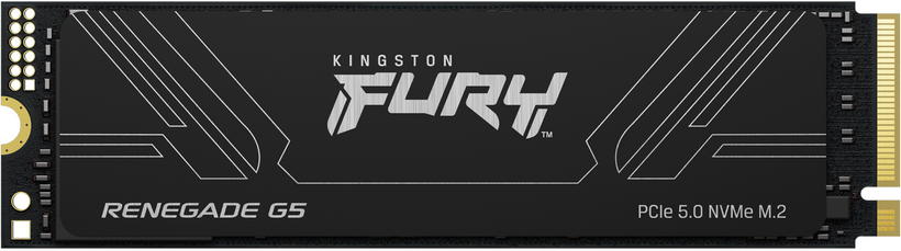SSD Kingston FURY Renegade G5 4 TB