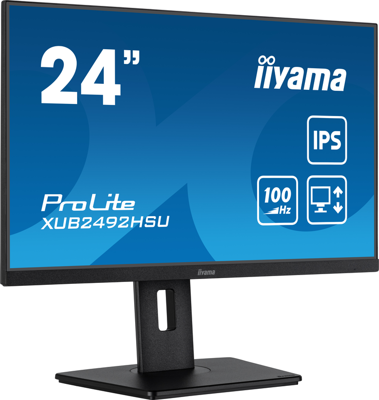 Monitor iiyama ProLite XUB2492HSU-B6