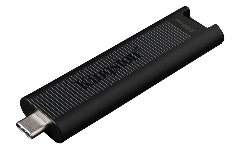 Kingston DT Max 256 GB USB-C Stick