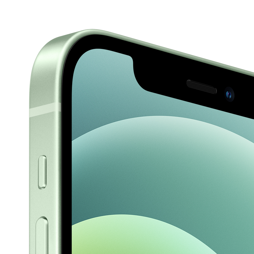 Apple iPhone 12 64 Go, vert