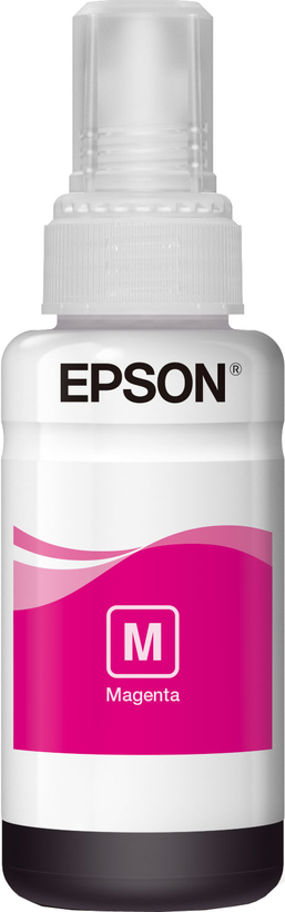 Encre Epson T6643, magenta
