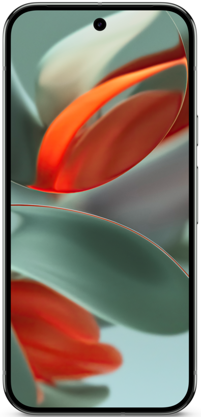 Google Pixel 9 Pro 256 GB hazel