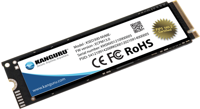 Kanguru Defender SED300 M.2 SSD 500GB