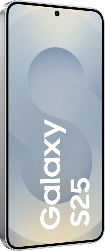 Samsung Galaxy S25 Enterprise Edition