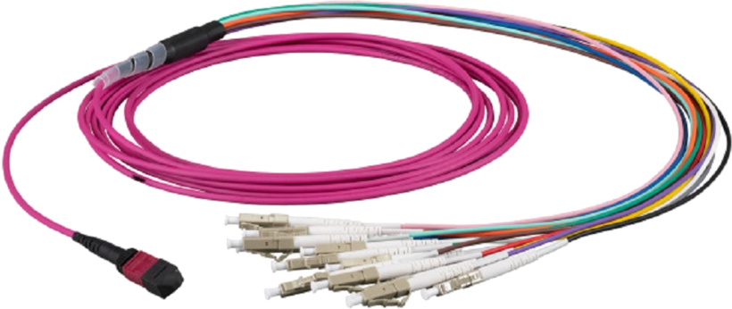 Câble patch FO MTP/MPO f. - 12xLC m. 5 m
