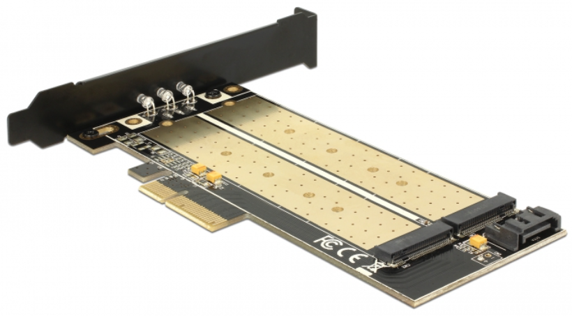 DeLock PCIe x4 - 2x M.2 LP Konverter