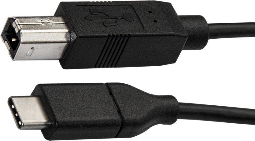 StarTech USB Type-C - B Cable 3m