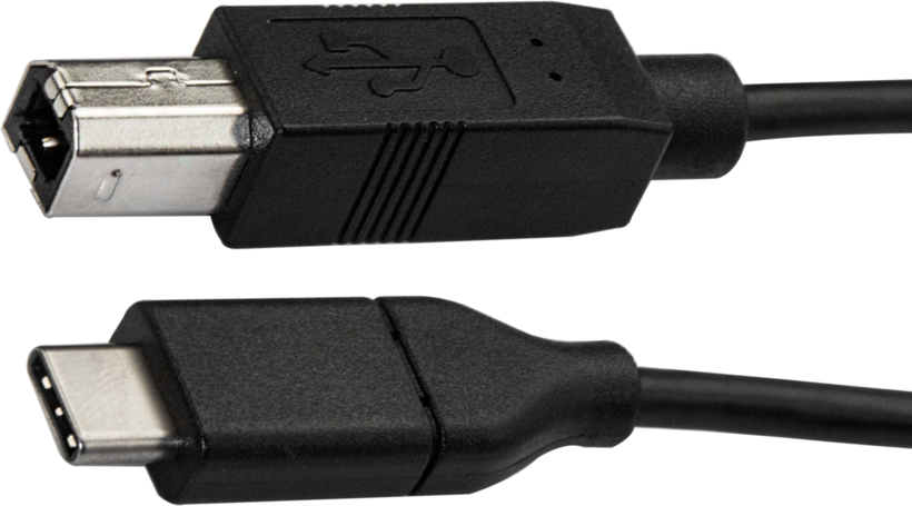 Câble USB 2.0 C m. - B m., 3 m, noir