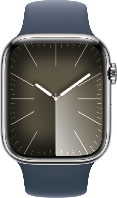 Apple Watch S9 9 LTE 45mm Steel Silver