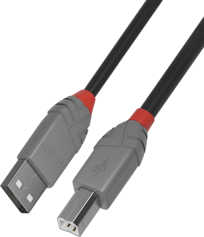 LINDY USB-A to USB-B Cable 0.5m