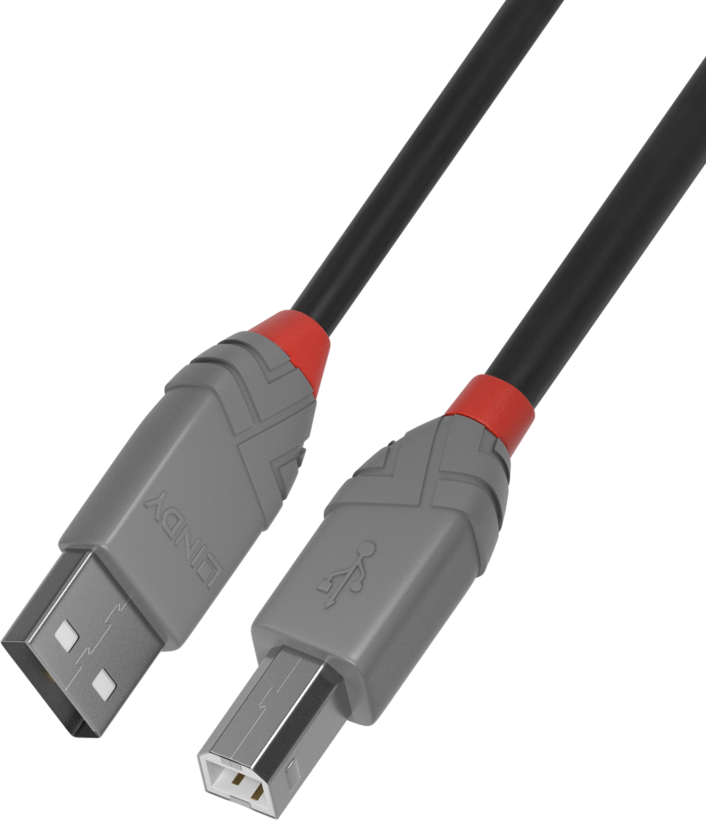 Cabo LINDY USB tipo A - B 0,5 m