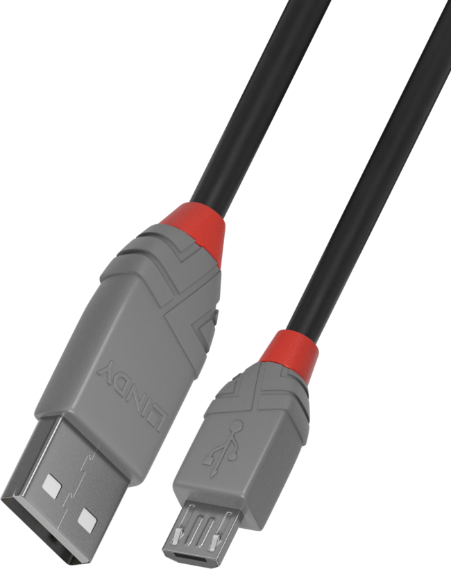 LINDY Kabel USB Typ A - Micro-B 0,5 m