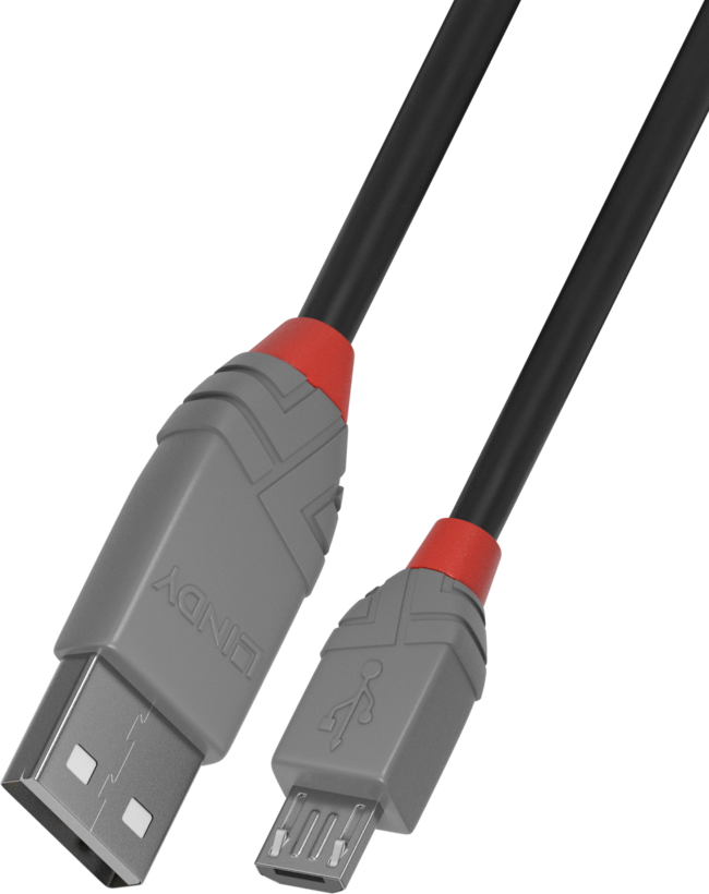 Câble USB LINDY type A - microB, 3 m