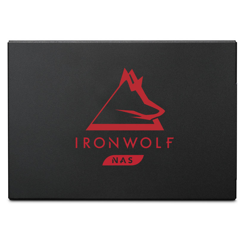 SSD 1 To Seagate IronWolf 125 NAS