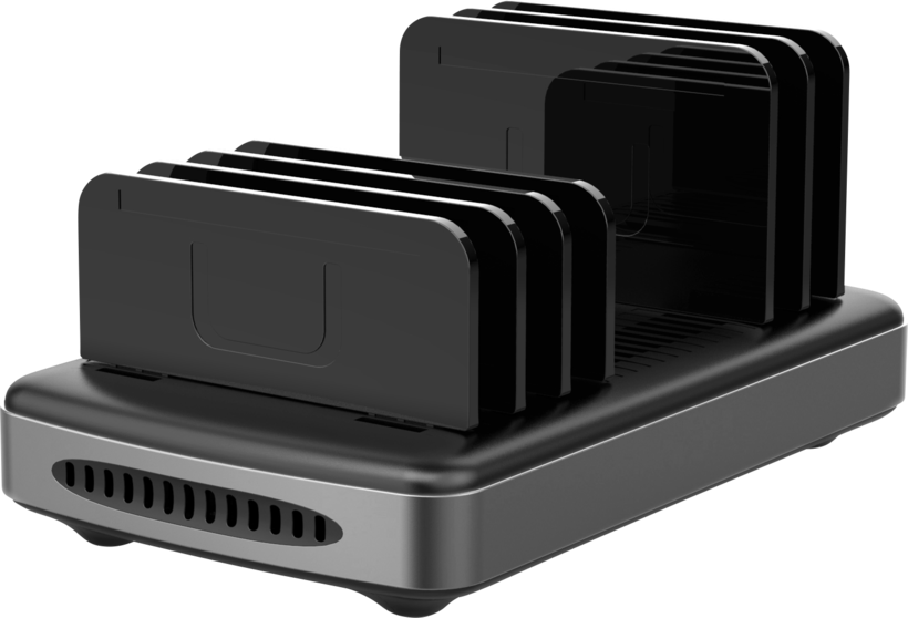 Est. carga USB LINDY 6 puertos negro