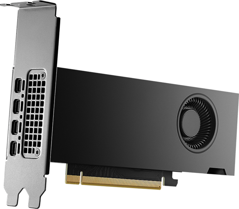 PNY NVIDIA RTX 2000 ADA Graphics Card