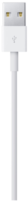 Câble Apple Lightning - USB A, 1 m