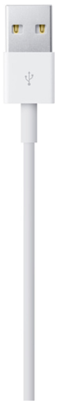 Cavo Lightning - USB-A Apple 1 m