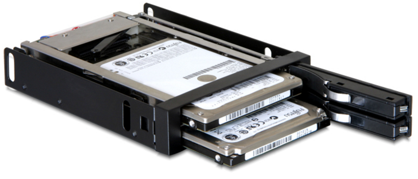 Delock 2x SATA Wechselrahmen