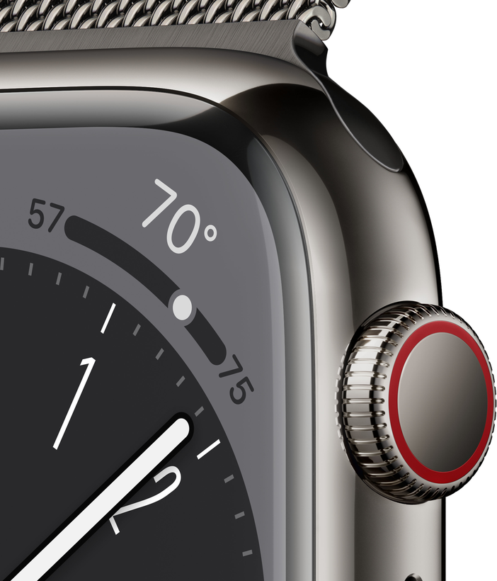 Apple Watch S8 GPS+LTE 41mm Steel Graph.