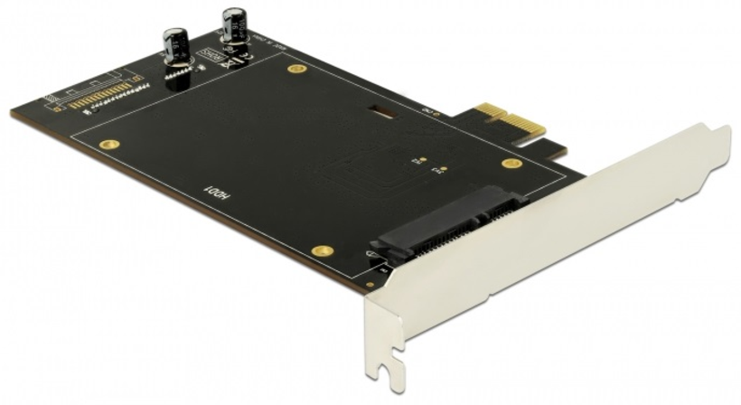 Adaptateur Delock PCI Express 2x DD/SSD