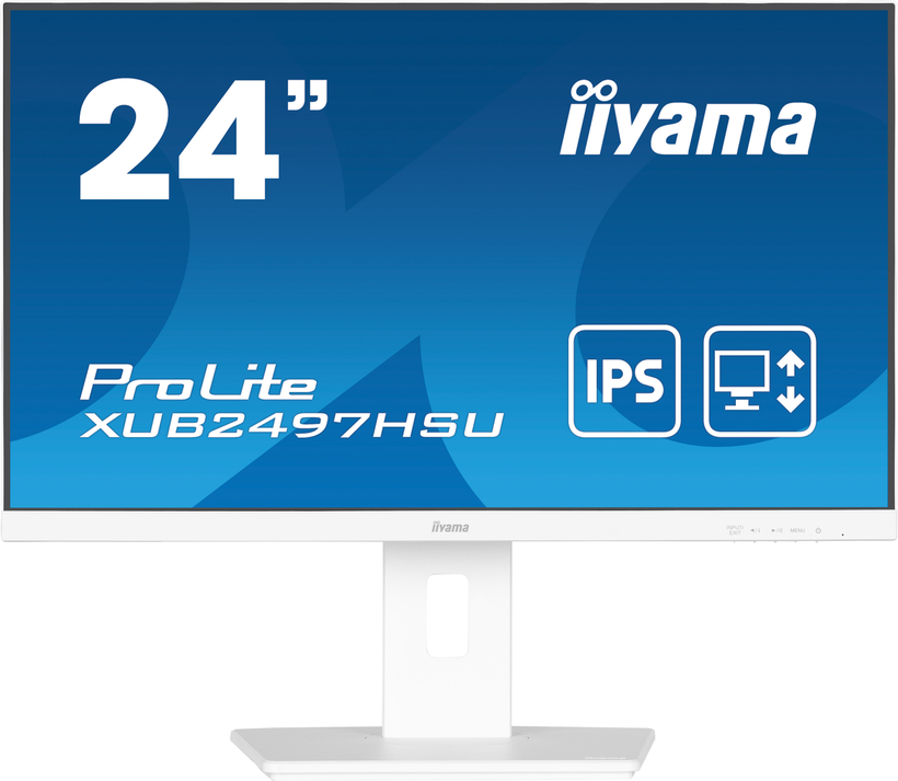 iiyama ProLite XUB2497HSU-W2 Monitor