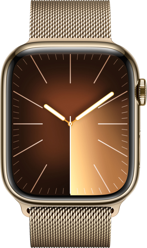 Apple Watch S9 9 LTE 45mm Steel Gold
