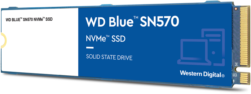 Acheter SSD 250 Go WD Blue SN570 (WDS250G3B0C)
