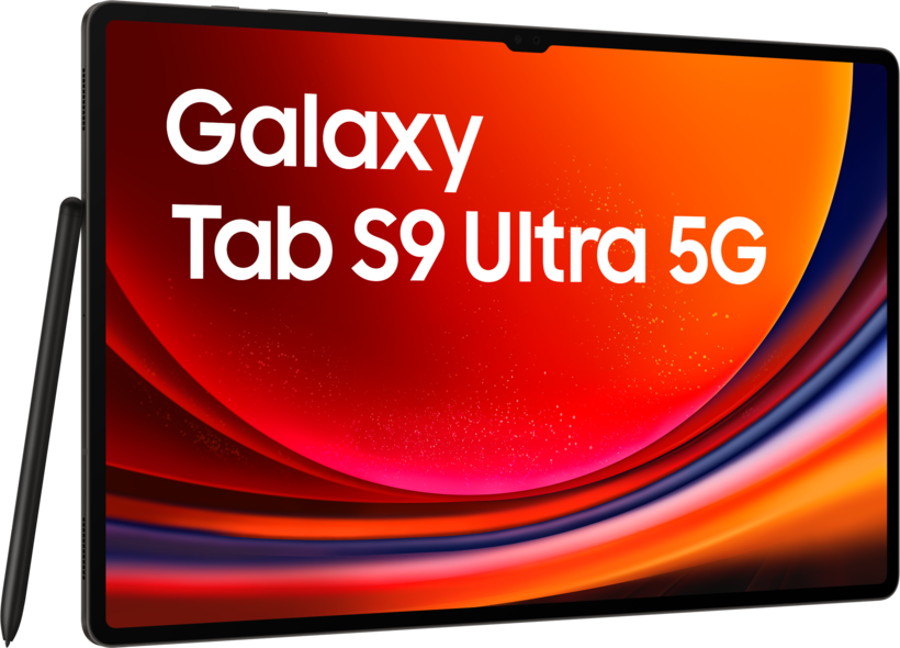 Samsung Galaxy Tab S9 Ultra 5G 512Go gra