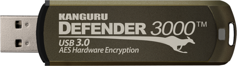 Chiavetta USB 128 GB Defender 3000