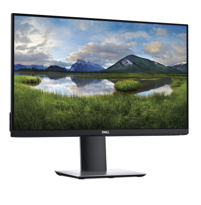 Dell Professional P2419H Monitor