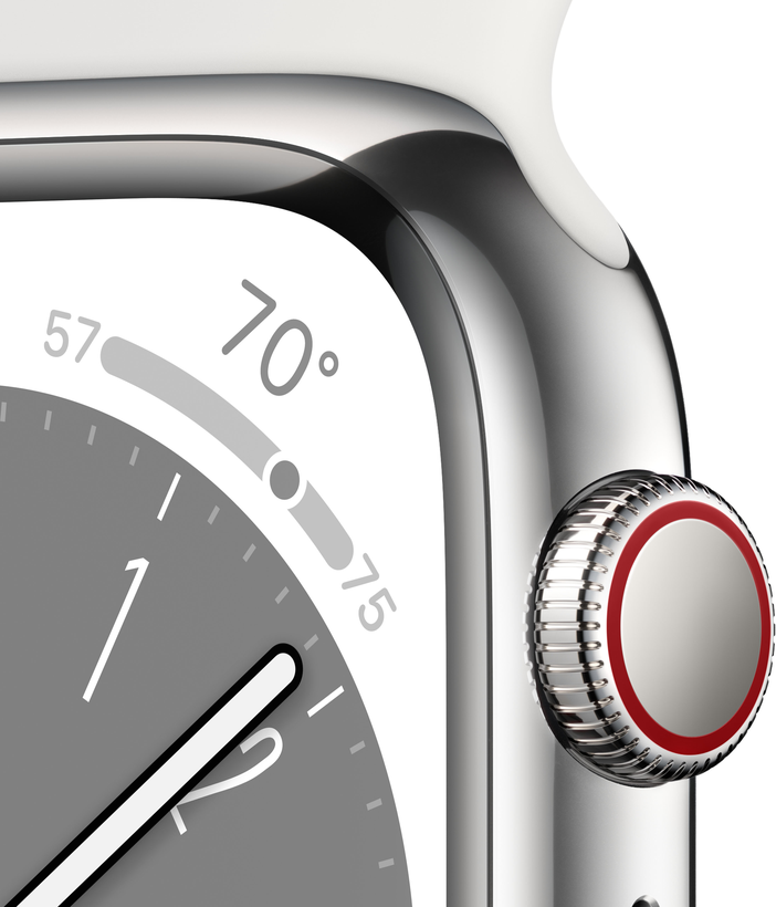 Apple Watch S8 GPS+LTE 45mm Stahl silber