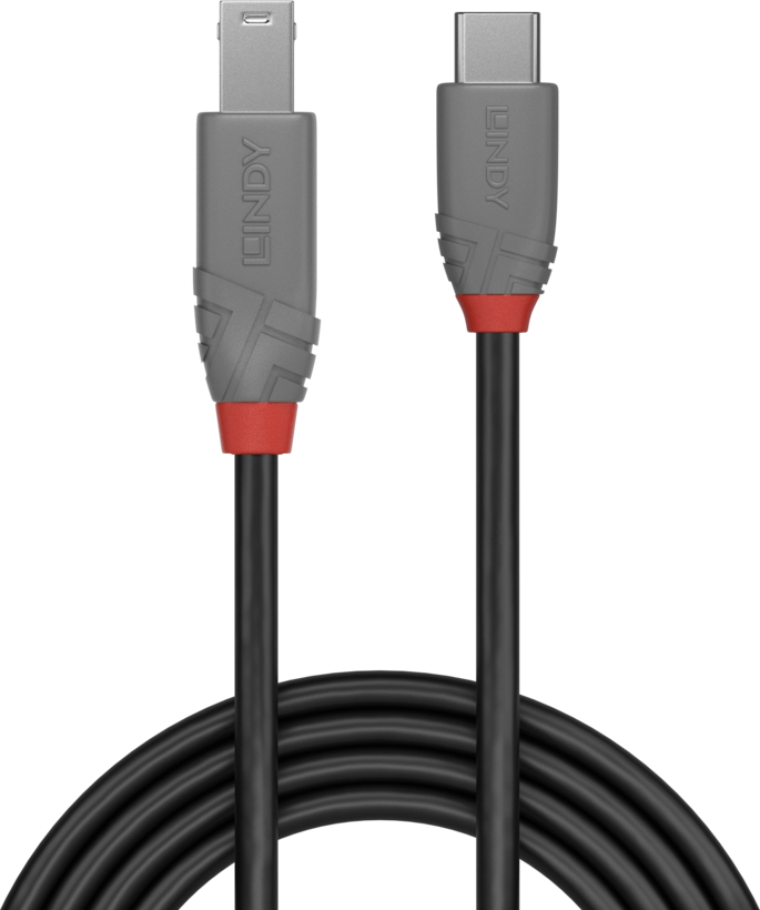 LINDY USB-C - B Cable 1m
