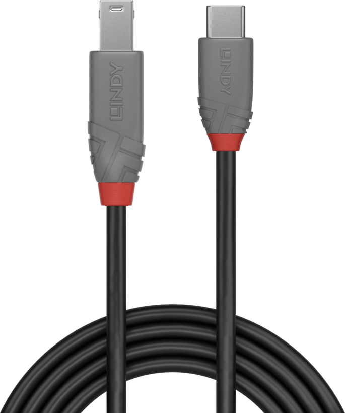 LINDY USB-C to USB-B Cable 1m