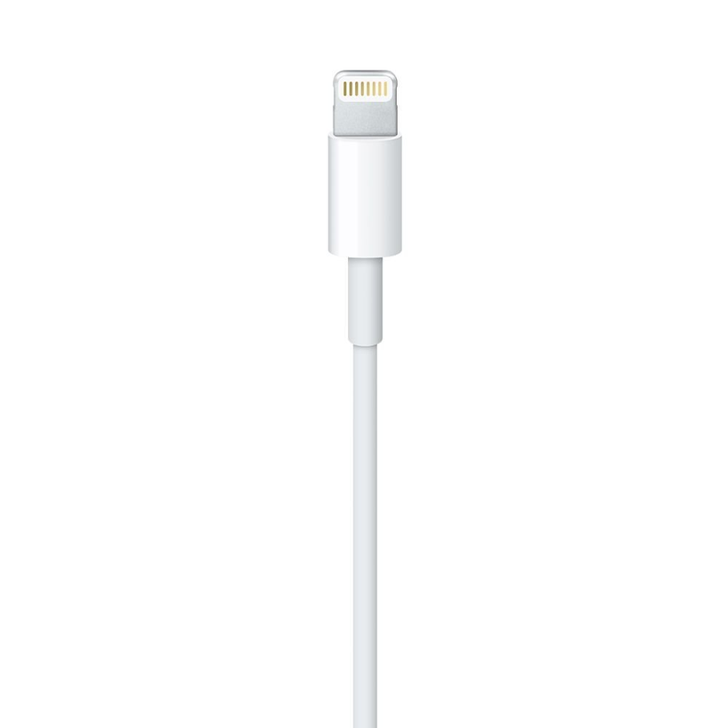 Câble Apple Lightning - USB, 0,5 m