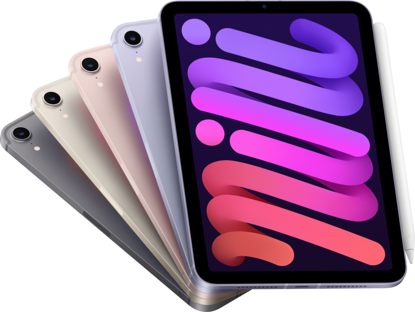 Apple iPad mini 8.3 6.Gen 5G 256 GB rosé