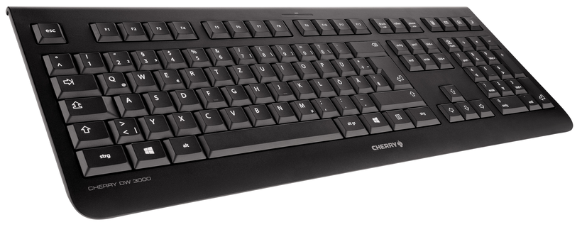 CHERRY Klawiatura i mysz DW3000, czar.