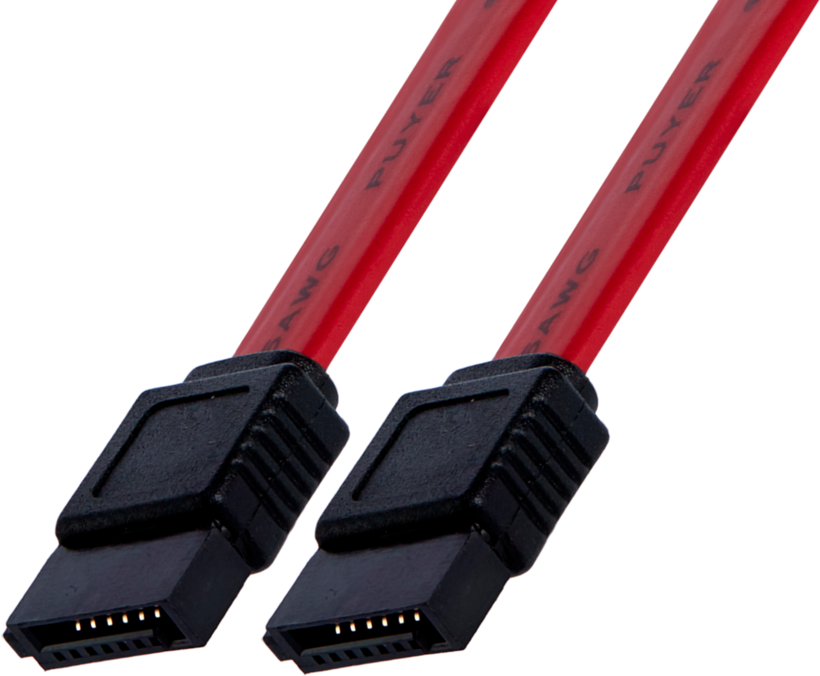 Cable SATA/m - SATA/m Int. 0.3m Red