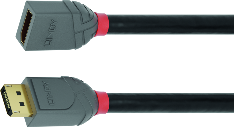 LINDY DisplayPort Extension Cable 1m