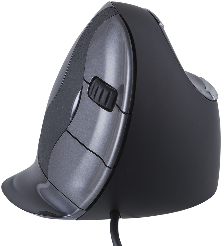 Bakker Evoluent D Vertical Mouse M