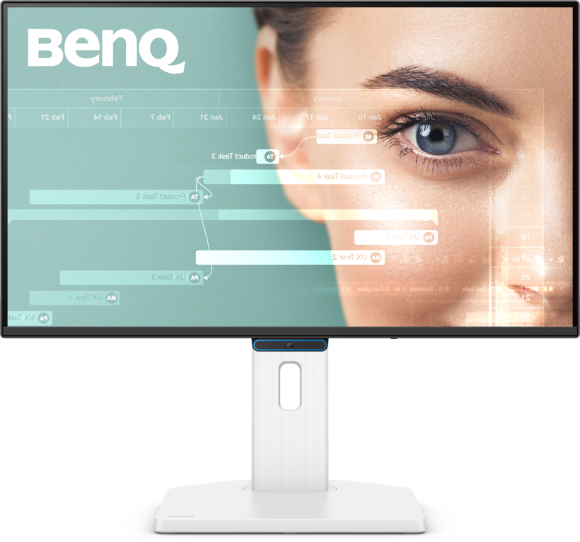 BenQ GW2490TC Monitor