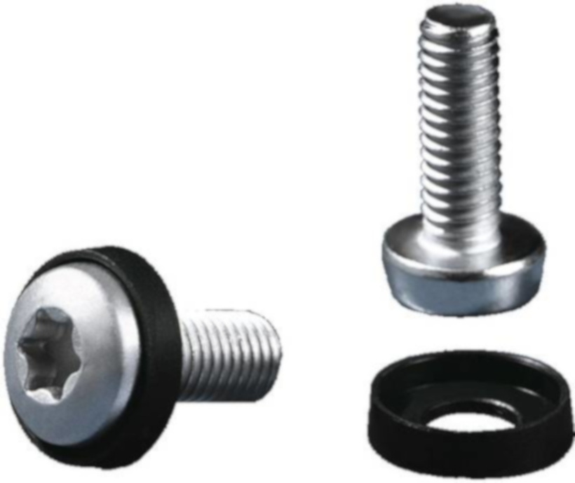 Rittal Schrauben M5 Torx