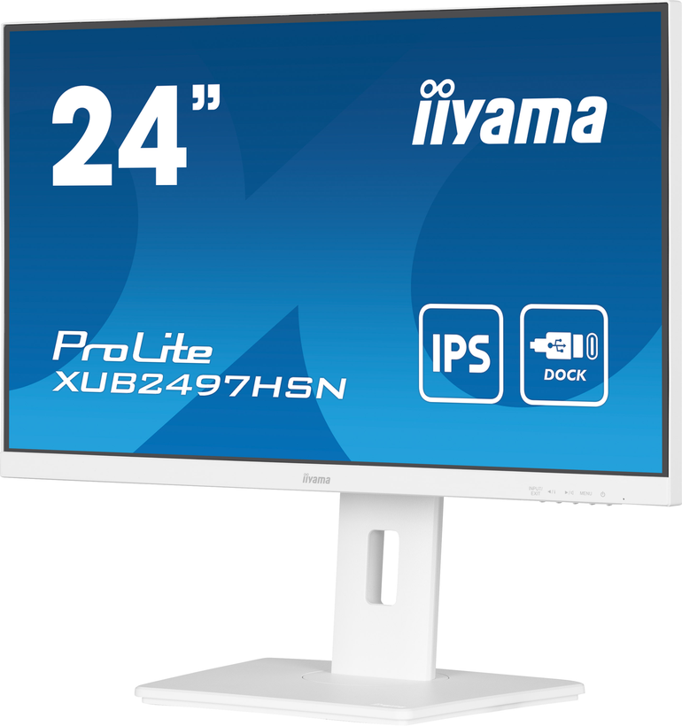 iiyama ProLite XUB2497HSN-W2 Monitor